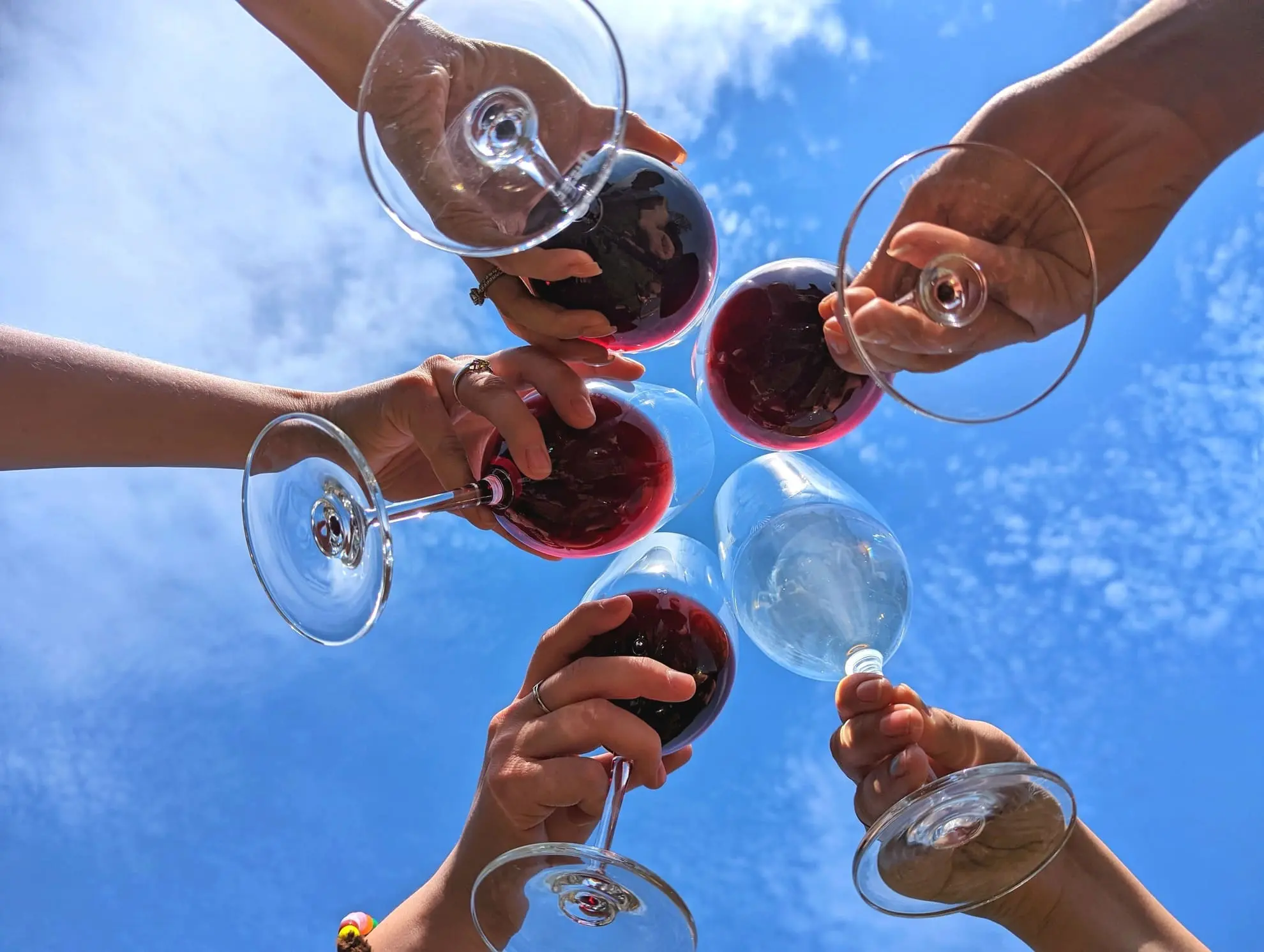 cheers toasting with-wineglasses of wine online wine shop in australia