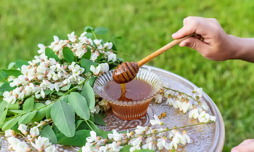 honey from acacia in the garden