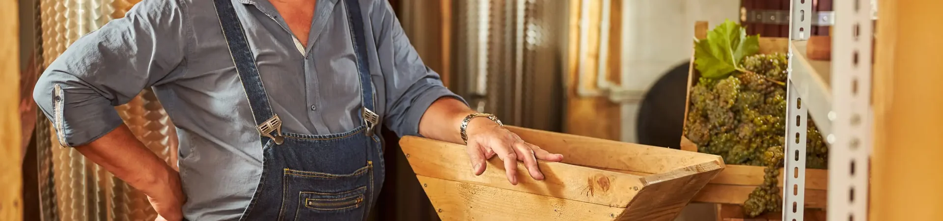 joyful winemaker smiling and posing inside the wine cellar; how to make wine