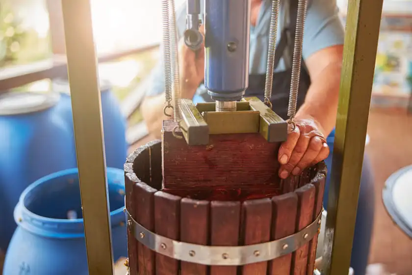 person operating a wine press full of grapes