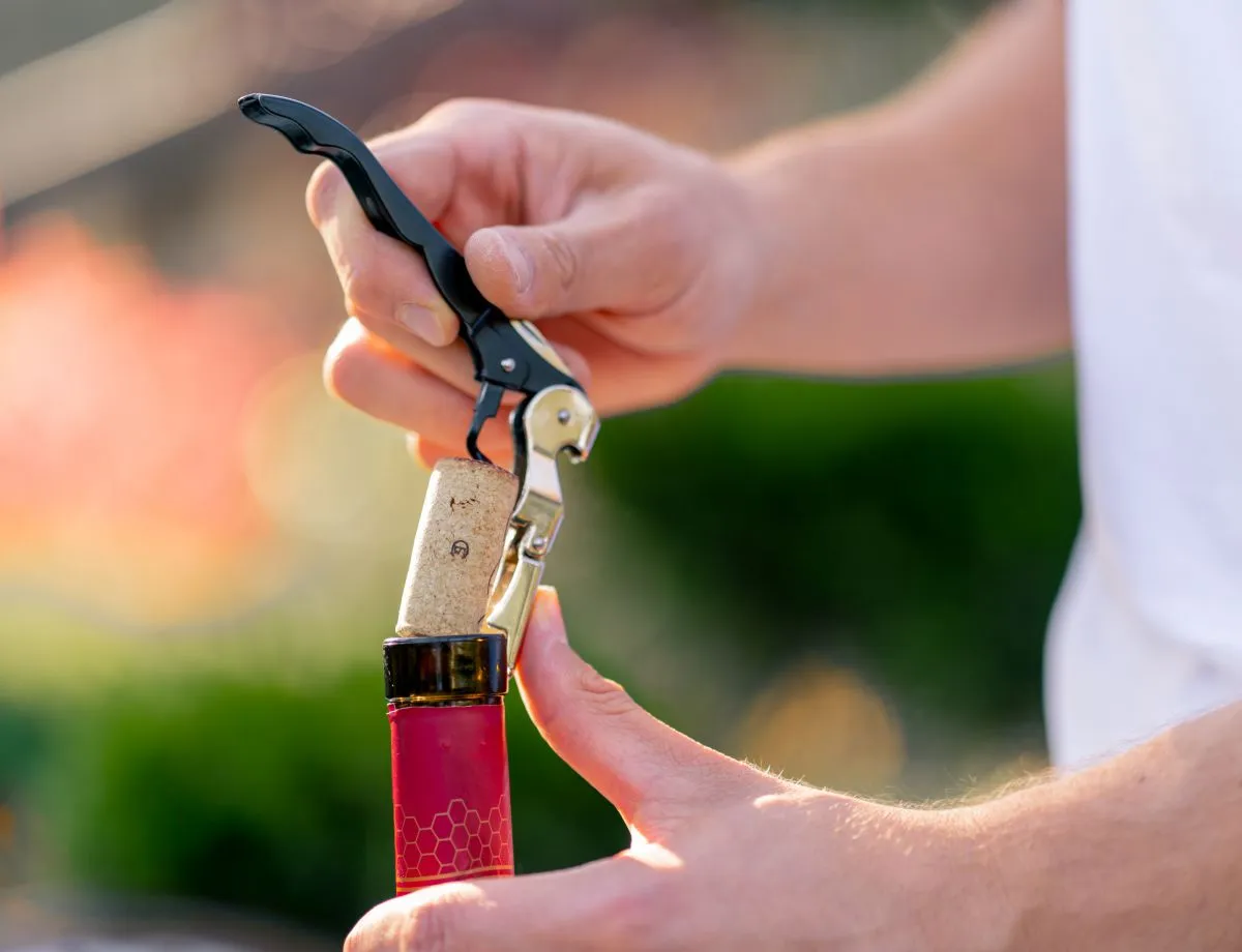 close up shot of a male sommelier's hand