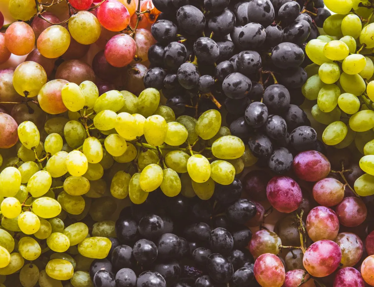 green and red grapes fruits