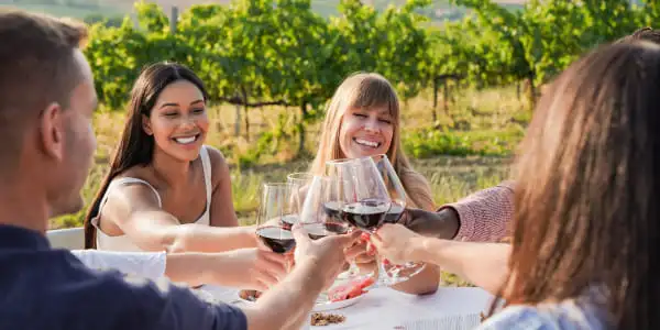 group of young multiracial people cheering with wine