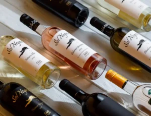 A collection of wine bottles from Asconi Winery displayed on a white wooden table. The bottles feature labels with the name "Sol Negru" and different grape varieties like Feteasca Alba, Cabernet Sauvignon, and Chardonnay. The bottles are arranged in a variety of orientations