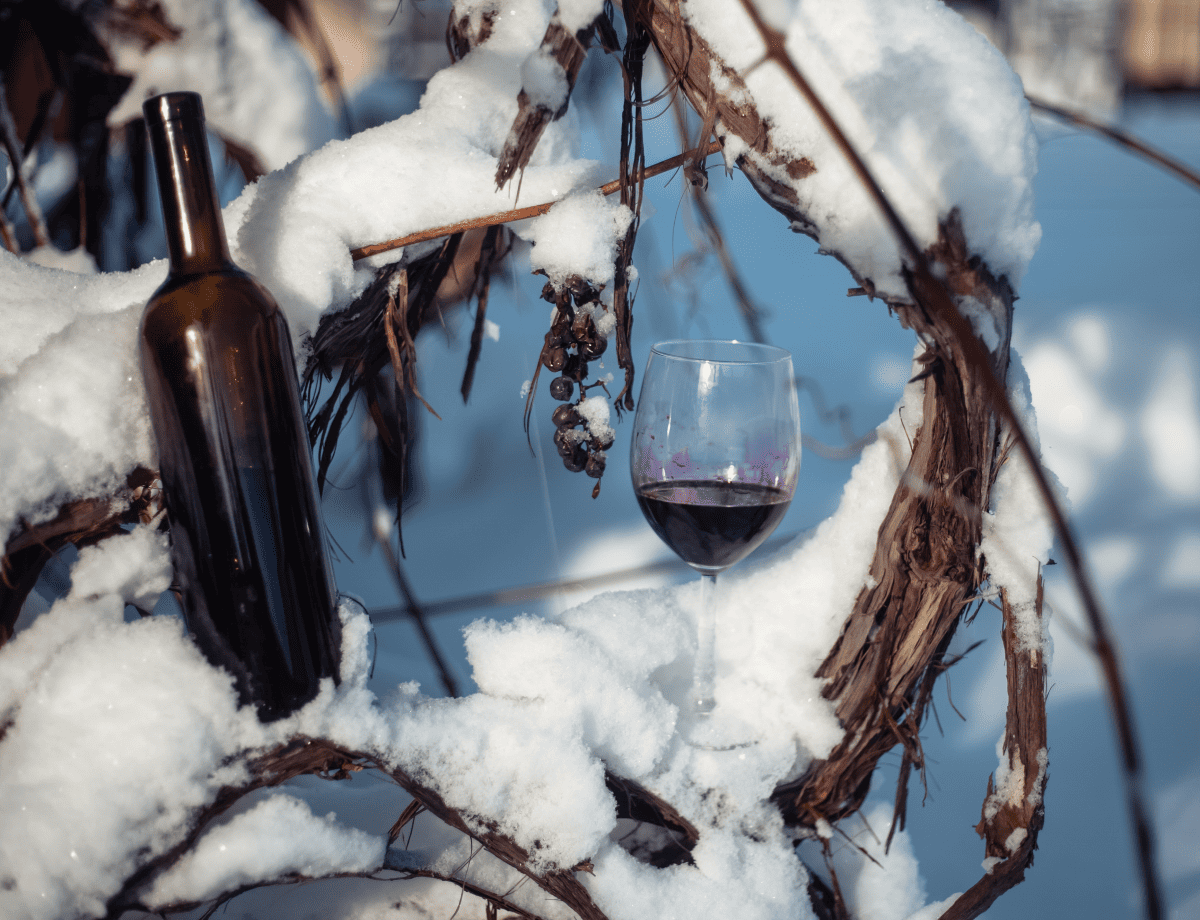 ice wine origin