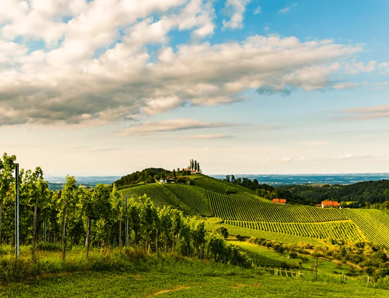 austrian ice wine, South Styria