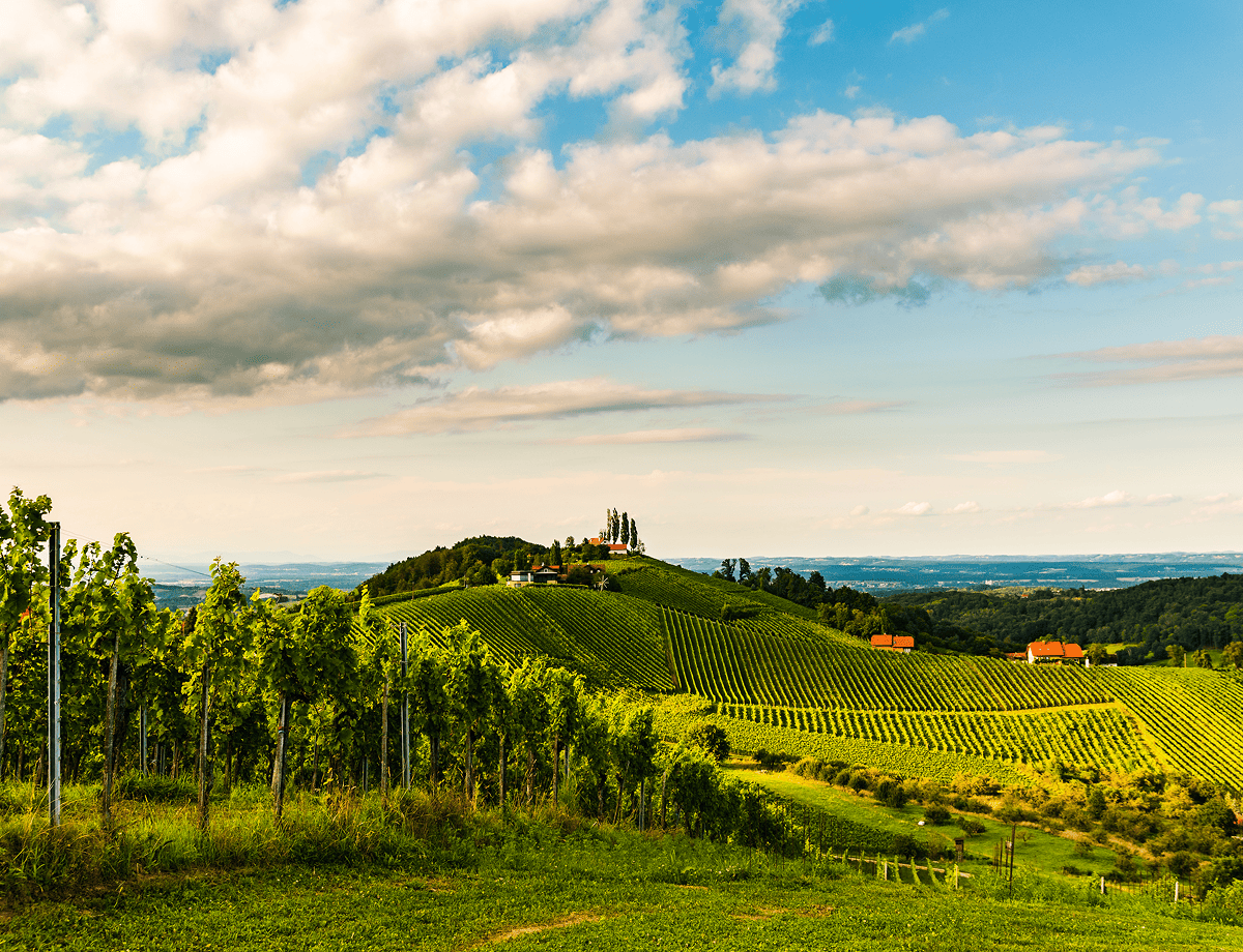 austrian ice wine, South Styria