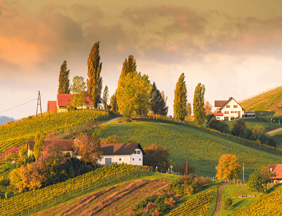 ice wine austria, South Styria